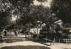 131-le Jardin du Petit Vichy